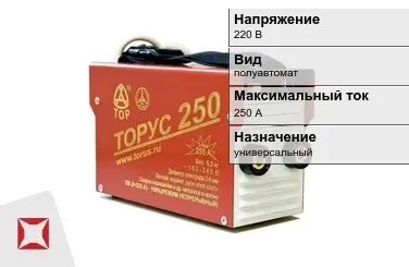 Сварочный аппарат Торус 250 А универсальный в Петропавловске